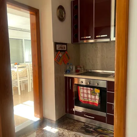 Arjana Vlore Polisi i Vogel